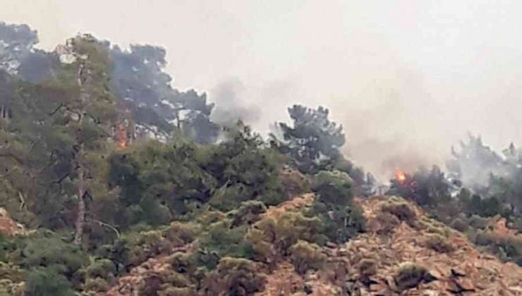 Fethiye’de orman yangını