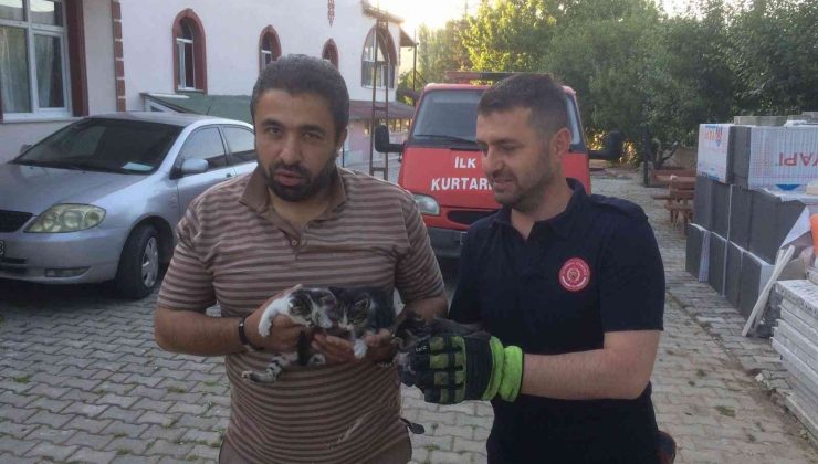 Havalandırma boşluğuna düşen yavru kedileri itfaiye ekipleri kurtardı