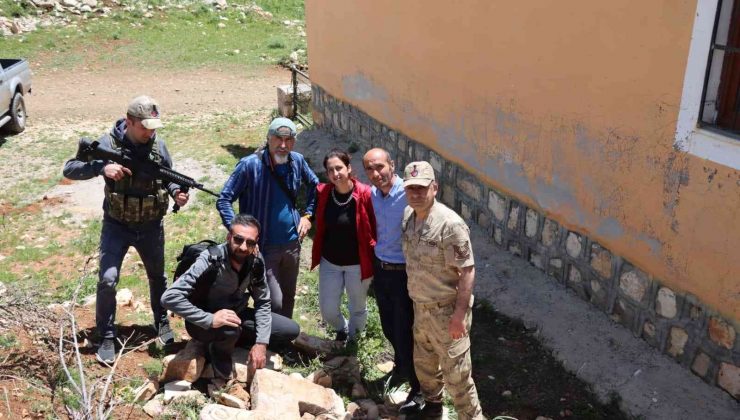 Tunceli’de çalınan koçbaşlı mezar taşı, 6 ay sonra bulunarak müze müdürlüğüne getirildi
