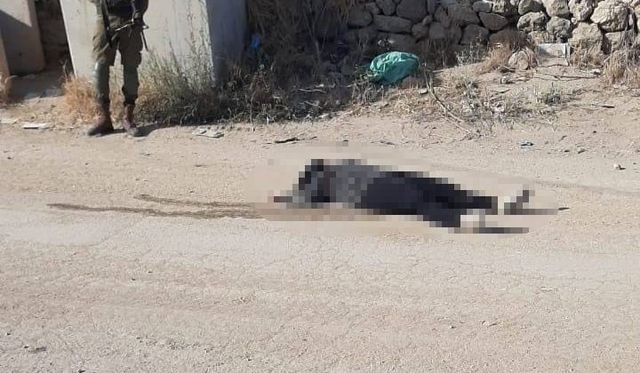 İsrail güçleri Filistinli bir kadını öldürdü