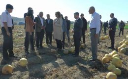Vali Becel: “Çerezlik kabak çekirdeğinde Türkiye’nin yüzde 31’ini Nevşehir üretiyor”