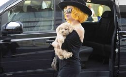 Lady Gaga’nın köpeklerini kaçıran saldırgana 21 yıl hapis cezası
