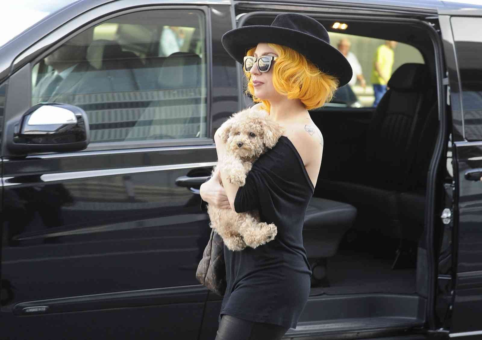 Lady Gaga’nın köpeklerini kaçıran saldırgana 21 yıl hapis cezası