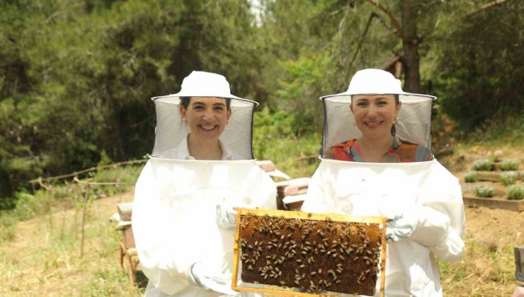 Anadolu arı ürünlerinin bağırsak sağlığının korunmasına etkisi