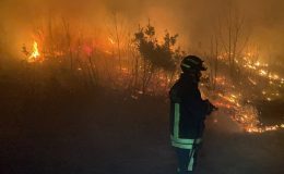 İtalya’da orman yangını: Alevler evlere yaklaştı