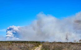 Kanada’da orman yangınlarının yaşandığı bölge tahliye ediliyor