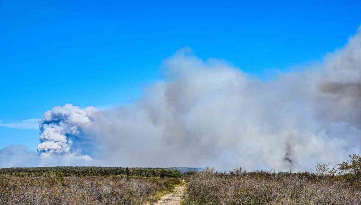 Kanada’da orman yangınlarının yaşandığı bölge tahliye ediliyor