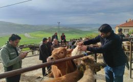Yozgat’ta hayvan pazarları tedbir amacıyla kapatıldı