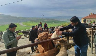 Yozgat’ta hayvan pazarları tedbir amacıyla kapatıldı